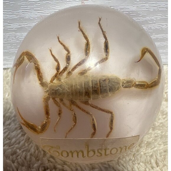 Vintage  Scorpion Paperweight Tombstone Dome Resin Bug Display Red Felt Base - Picture 2 of 8